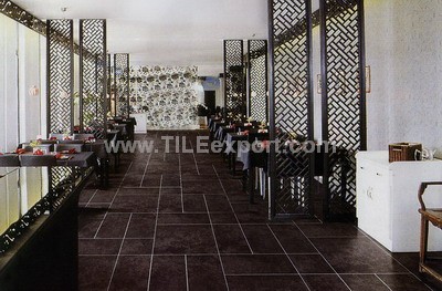 Floor_Tile--Porcelain_Tile,600X600mm[SS],66008_view